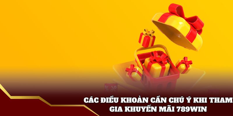 Các điều khoản cần chú ý khi tham gia khuyến mãi 789win