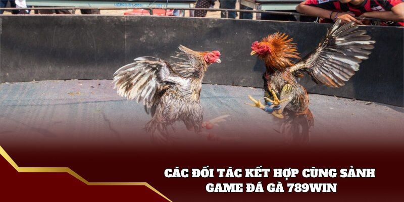 Các đối tác kết hợp cùng sảnh game đá gà 789win