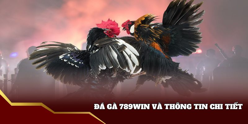 Đá gà 789win và thông tin chi tiết