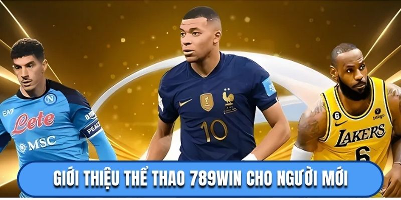 Giới thiệu thể thao 789win cho người mới
